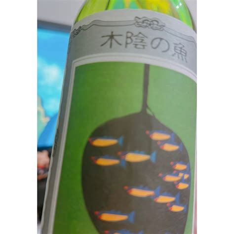 木陰之魚哪裡有賣